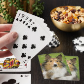Ruw Collie, hond Speelkaarten (Insitu)