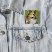 Ruw Collie, hond Vierkante Button 5,1 Cm (In situ)