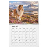 Ruw Collie Kalender (Jan 2027)