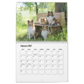 Ruw Collie Kalender (Feb 2027)