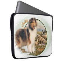 Ruw collie Keeper van de schapen