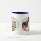 Ruw collie Keeper van de schapen Mok (Midden)