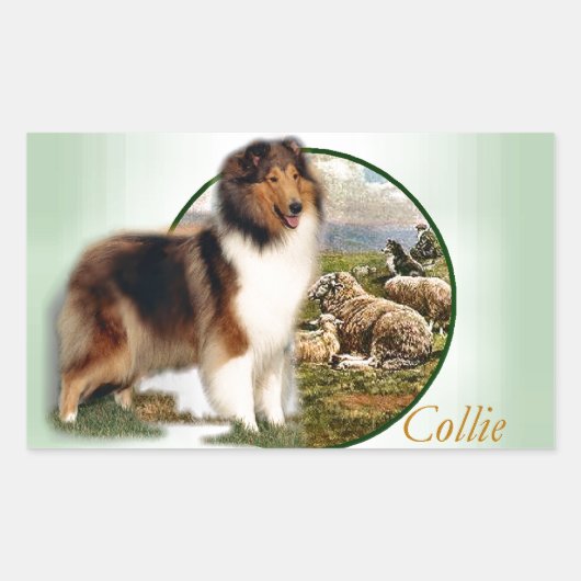 Ruw collie Keeper van de schapen Rechthoekige Sticker (Voorkant)