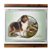 Ruw collie Keeper van de schapen