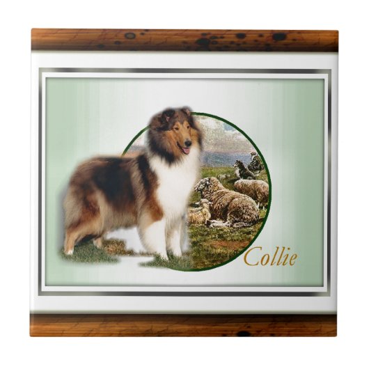 Ruw collie Keeper van de schapen Tegeltje (Voorkant)