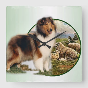 Ruw collie Keeper van de schapen Vierkante Klok