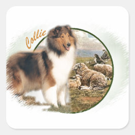 Ruw collie Keeper van de schapen Vierkante Sticker