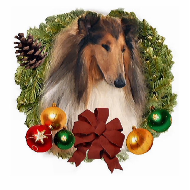 Ruw Collie kerstcadeautjes Fotobeeldje Ornament (Voorkant)