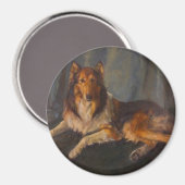 Ruw collie magneet (Voorkant / Achterkant)