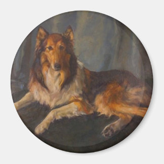 Ruw collie magneet