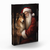 Ruw Collie Met Sinterklaas Feestelijke Kerstmis Fotoblokken (Links)