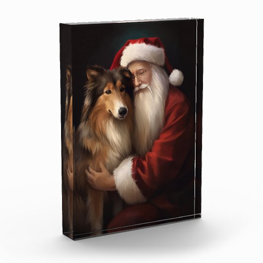 Ruw Collie Met Sinterklaas Feestelijke Kerstmis Fotoblokken (Links)