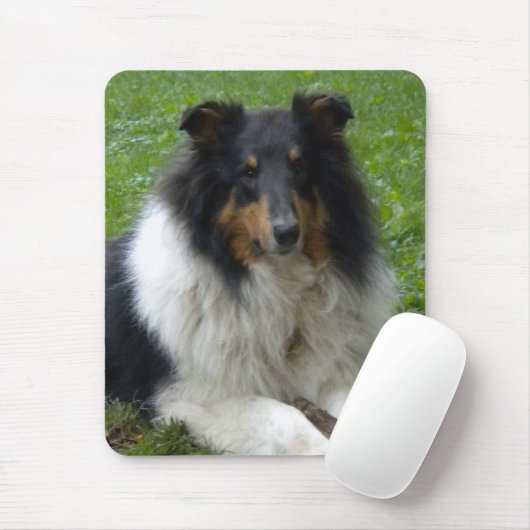 Ruw Collie Muismat (Met muis)