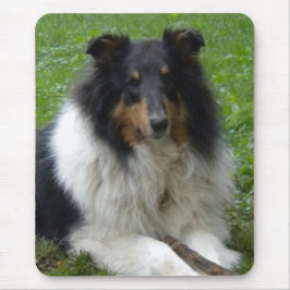 Ruw Collie Muismat