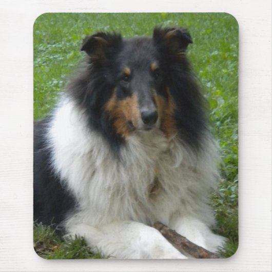 Ruw Collie Muismat (Voorkant)