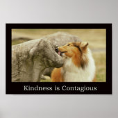 Ruw Collie Poster "Kindness is Contagiant" (Voorkant)