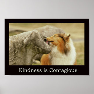 Ruw Collie Poster "Kindness is Contagiant"