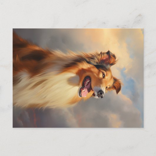 Ruw collie / Schotse collie Briefkaart (Voorkant)