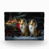 Ruw Collie Snowy Sleigh Kerstmisdecor Fotoblokken (Voorkant)