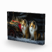 Ruw Collie Snowy Sleigh Kerstmisdecor Fotoblokken (Rechts)