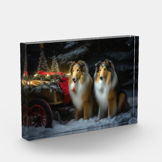 Ruw Collie Snowy Sleigh Kerstmisdecor Fotoblokken (Links)