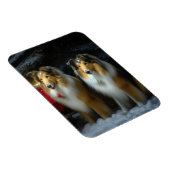 Ruw Collie Snowy Sleigh Kerstmisdecor Magneet (Rechterzijde)
