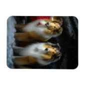 Ruw Collie Snowy Sleigh Kerstmisdecor Magneet (Horizontaal)