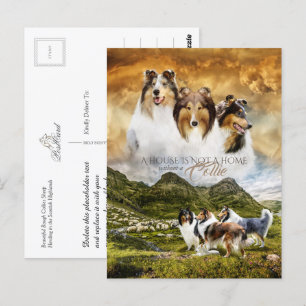 Ruw Collies Portrait & Sheep Herding + Quote - Briefkaart