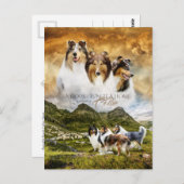Ruw Collies Portrait & Sheep Herding + Quote - Briefkaart (Voorkant / Achterkant)