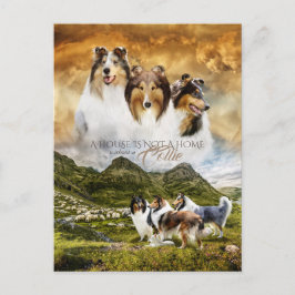 Ruw Collies Portrait & Sheep Herding + Quote - Briefkaart