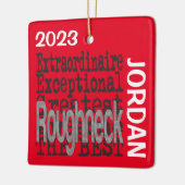 Ruw hals Buitengewoon DOUANE Keramisch Ornament (Links)