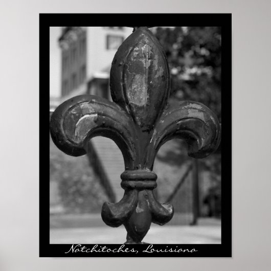 Ruw ijzer Fleur de lis Natchitoches Poster (Voorkant)