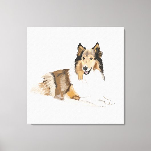 Ruw, lange gepaarde collie canvas afdruk (Voorkant)