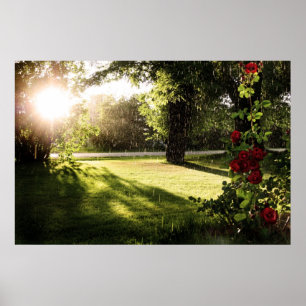 Ruw roos canvas poster