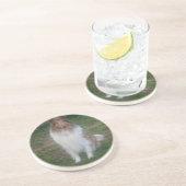 Ruw Sable Collie Onderzetters (Zijkant)