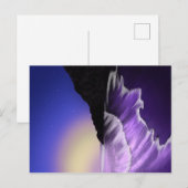 Ruw zee en sterrenhemel briefkaart (Voorkant / Achterkant)