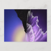 Ruw zee en sterrenhemel briefkaart (Voorkant)