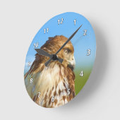 Ruwbenige Hawk in profiel Ronde Klok (Hoek)