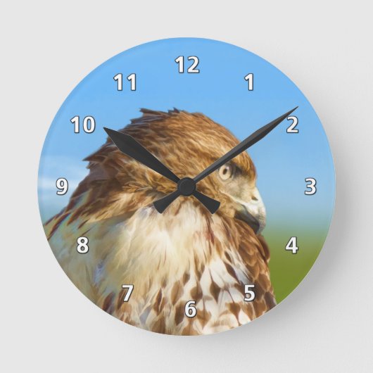 Ruwbenige Hawk in profiel Ronde Klok (Voorkant)