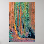 Ruwbomen faa24 poster (Voorkant)