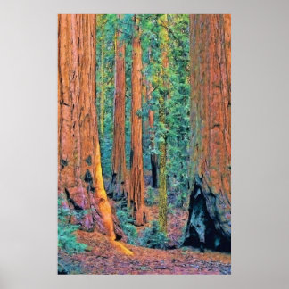 Ruwbomen faa24 poster