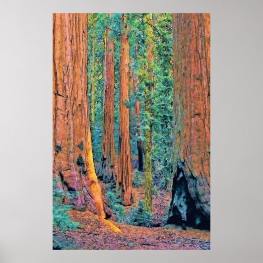 Ruwbomen faa24 poster (Voorkant)