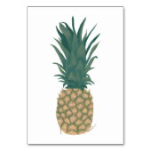 Ruwe ananashuid, bijvoeglijke lezing flashcards kaart (Voorkant)