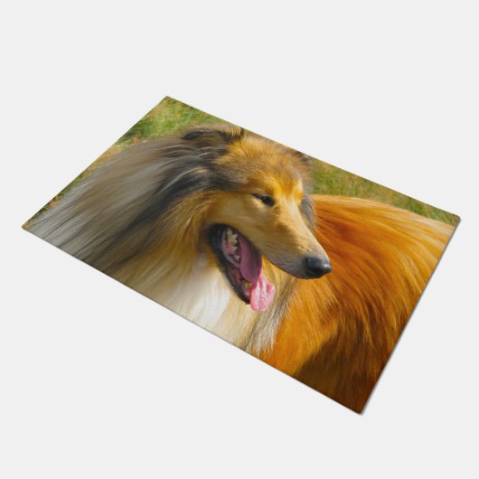Ruwe Collie. Deurmat (Schuin)