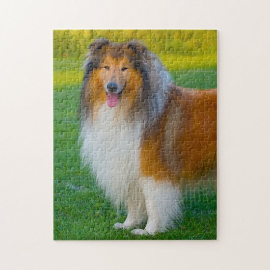Ruwe Collie Dog Jigsaws. Legpuzzel (Verticaal)