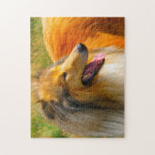 Ruwe Collie Dog Jigsaws. Legpuzzel (Verticaal)