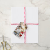 Ruwe Collie & Kitten - Gepersonaliseerde Kerstmis Cadeaulabel (Met Touw)