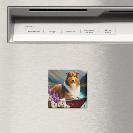 Ruwe Collie op een peddel: een Schilderachtig avon Magneet (Insitu (Vaatwasser))