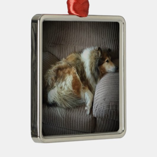 Ruwe collie op een stoel metalen ornament (Rechts)