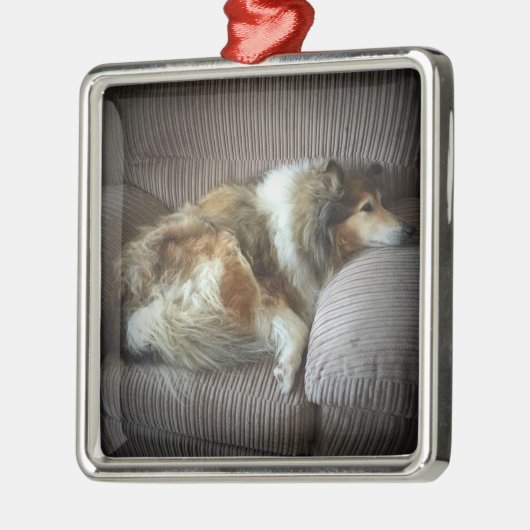 Ruwe collie op een stoel metalen ornament (Links)